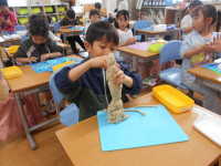 DSCN8723
