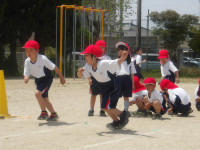 IMGP2443