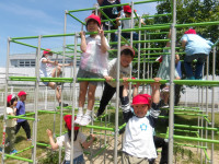 IMGP2449