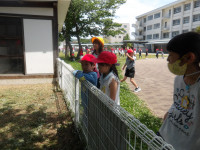 IMGP2455