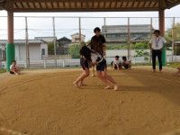 IMGP2341