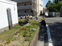 IMGP2362