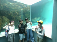 IMG_20260528_155136