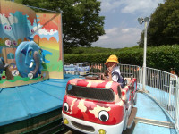 IMG_20260529_133232