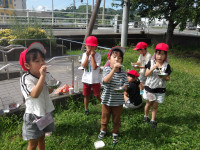 IMGP0665