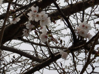 IMGP0801
