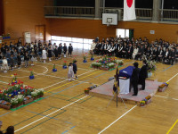 IMGP0534