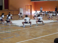 IMGP2227