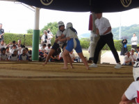 IMGP2696