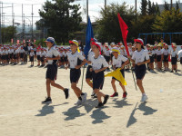 IMGP3386