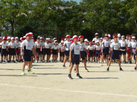 IMGP3402